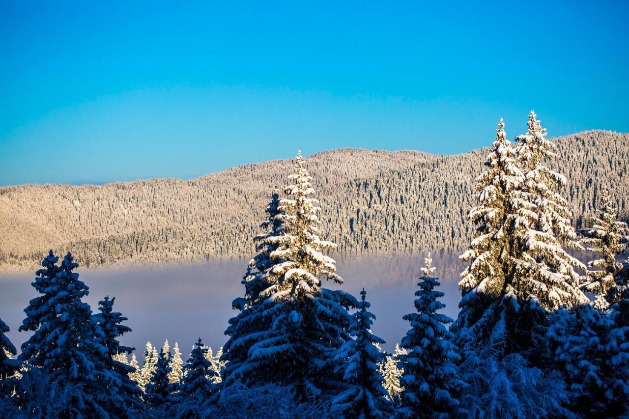 Sunny Hills Ski&Wellness Pamporovo Dış mekan fotoğraf