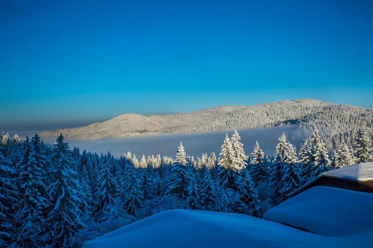 Sunny Hills Ski&Wellness Pamporovo Dış mekan fotoğraf